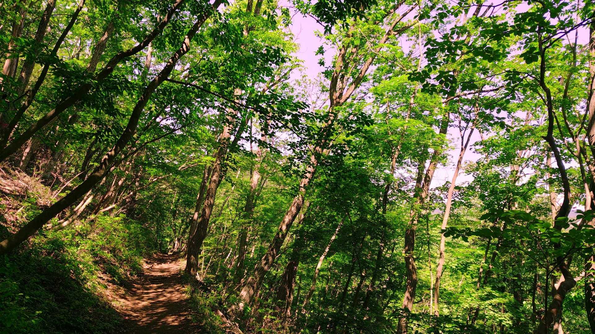 さわやかな風が吹いて、今の時期って良いですね🍃