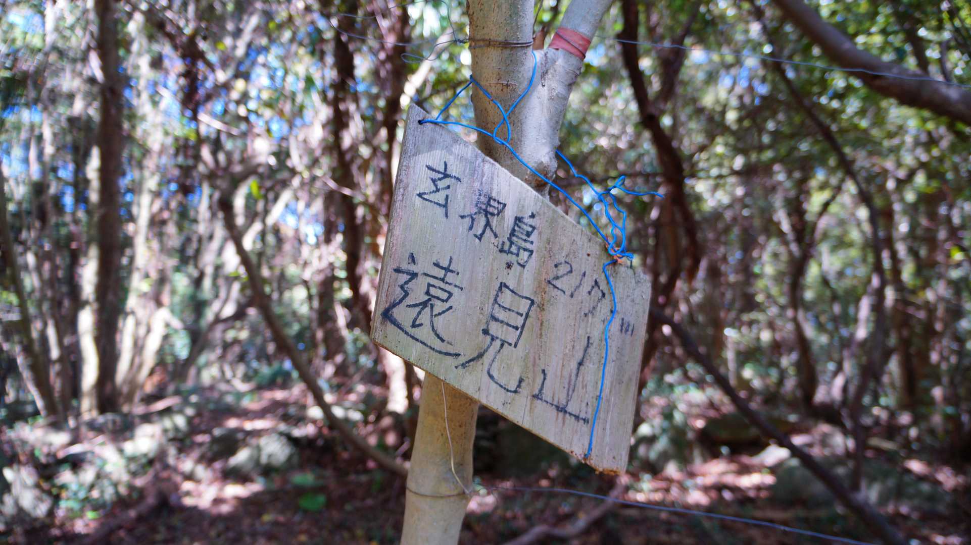 まず、一個目。