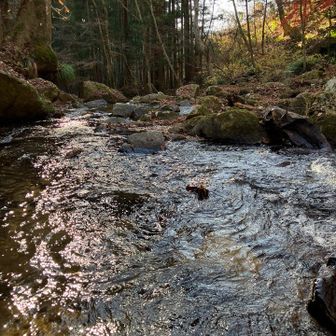 今年3回目の滝川渓谷
毎回、癒されましたꔛ‬ෆ