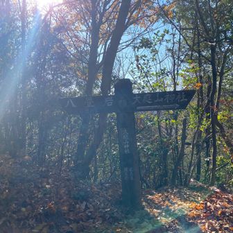 分岐
まずは大庭山神社へ