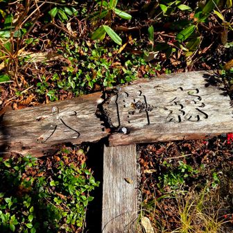 大僧森　標柱は倒れています