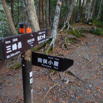 野呂川越に到着

あの夜一目散に野呂越側へ駆け上がった状況を再現する為ハイペースで登って来たら、お二人に指導受けました😅

ゆっくり歩こう南アルプス😌