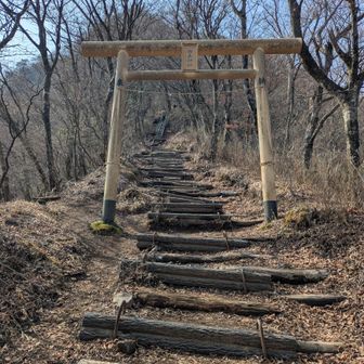 やっと登山開始
