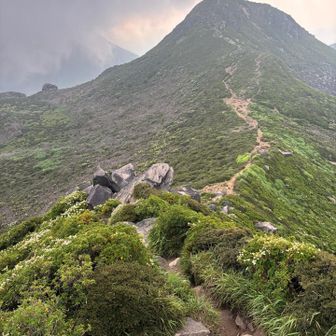 中岳方面へ下りてきますが
大岩🪨地帯なので　ゆっくりと　慎重にね