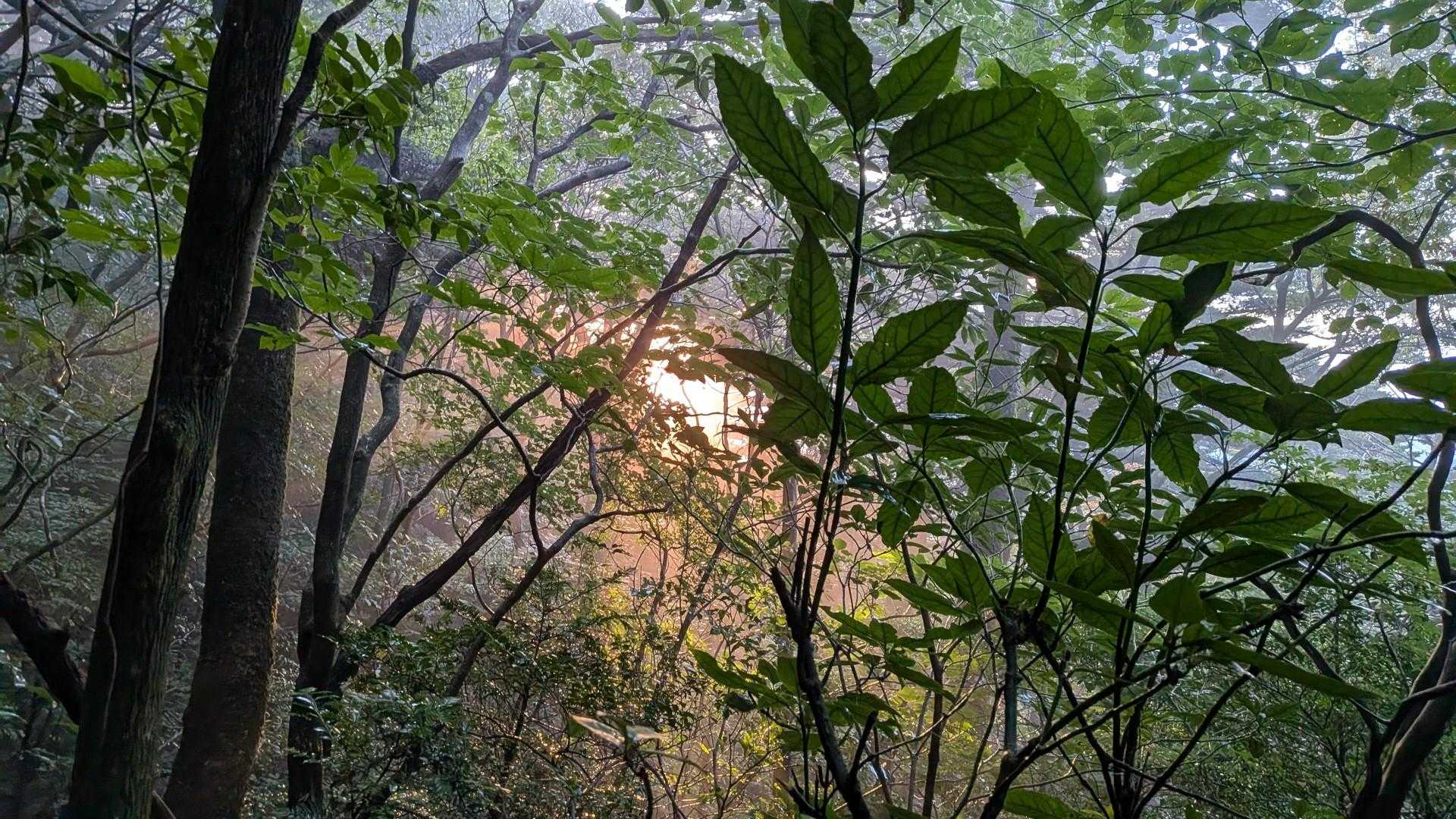 日が出てきた😊