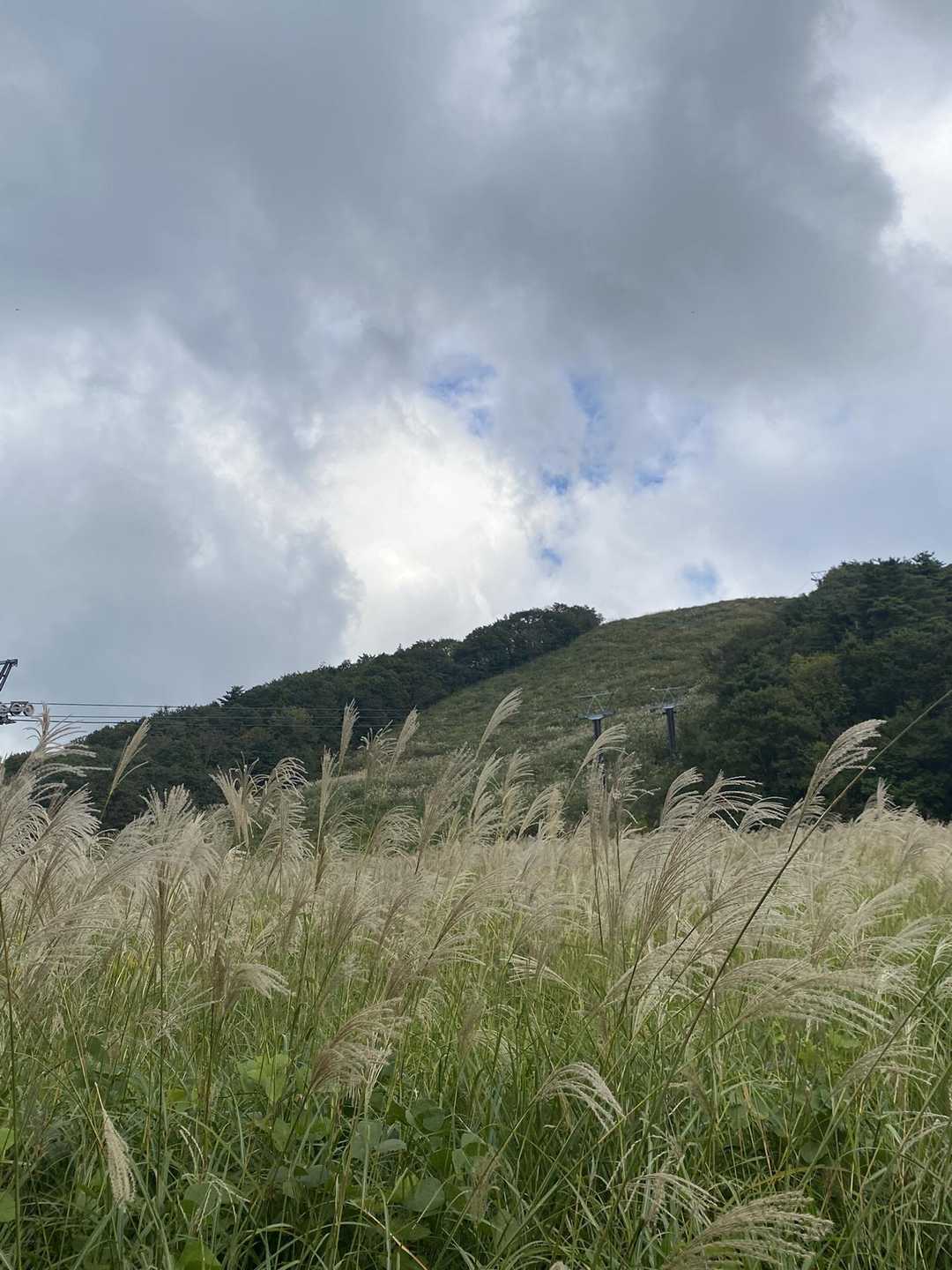 ではさらばだ、キゴ山。冬にまた会おう👍