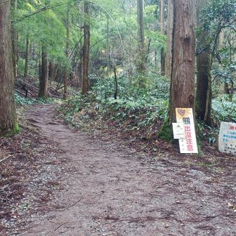 れっつらごー。