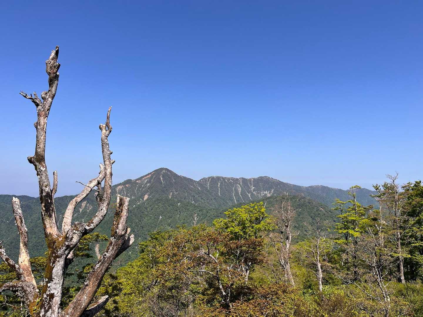 蛭ヶ岳があんなに遠く！
頑張って歩いたなあ