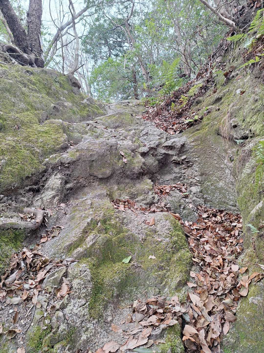 叶岳・高地山 ピストンルートの写真