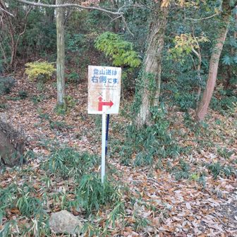 ご迷惑にならないように