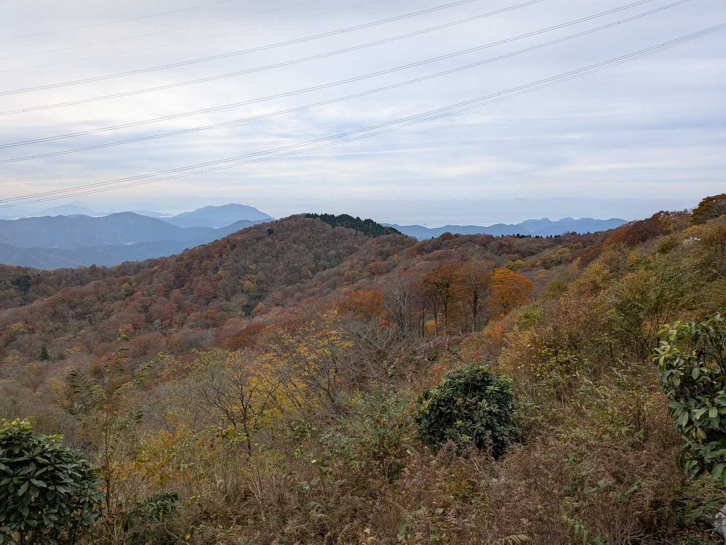 ナイスビューです😃