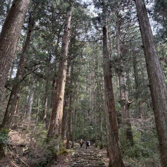 長い石段でした
不揃いの石段なので結構きついです