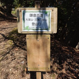 帰りは嵯峨山に登らず、林道を歩き、鎌倉古道へ