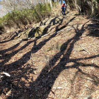 いきなり急登😧