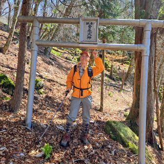 ここまで行きました