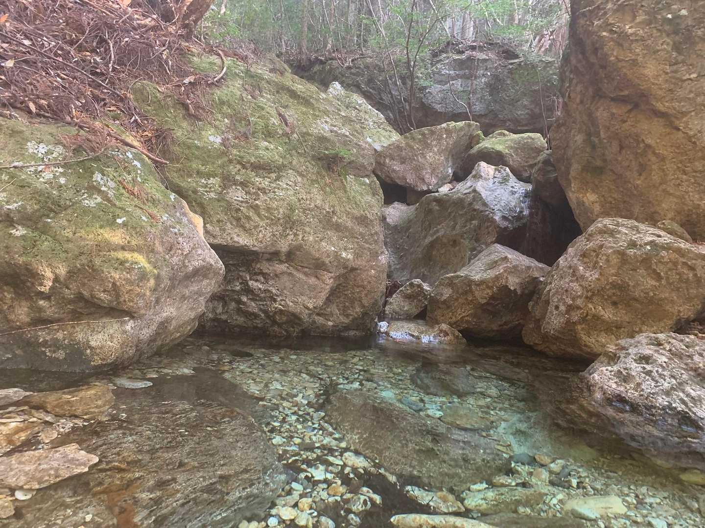 川が透き通っています✨