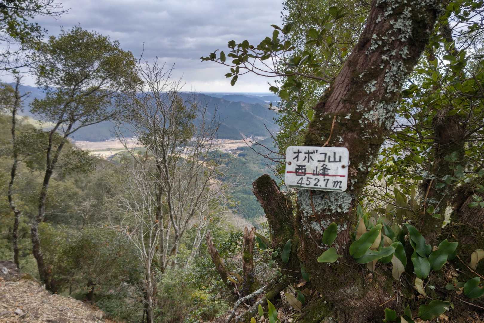オボコ山西峰。
ここもYAMAPにはありません。