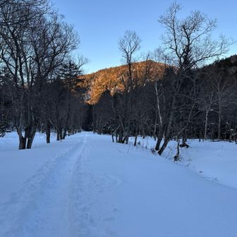 戻ってきました。