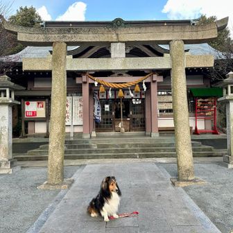 高杯山⛰️初登頂🙏