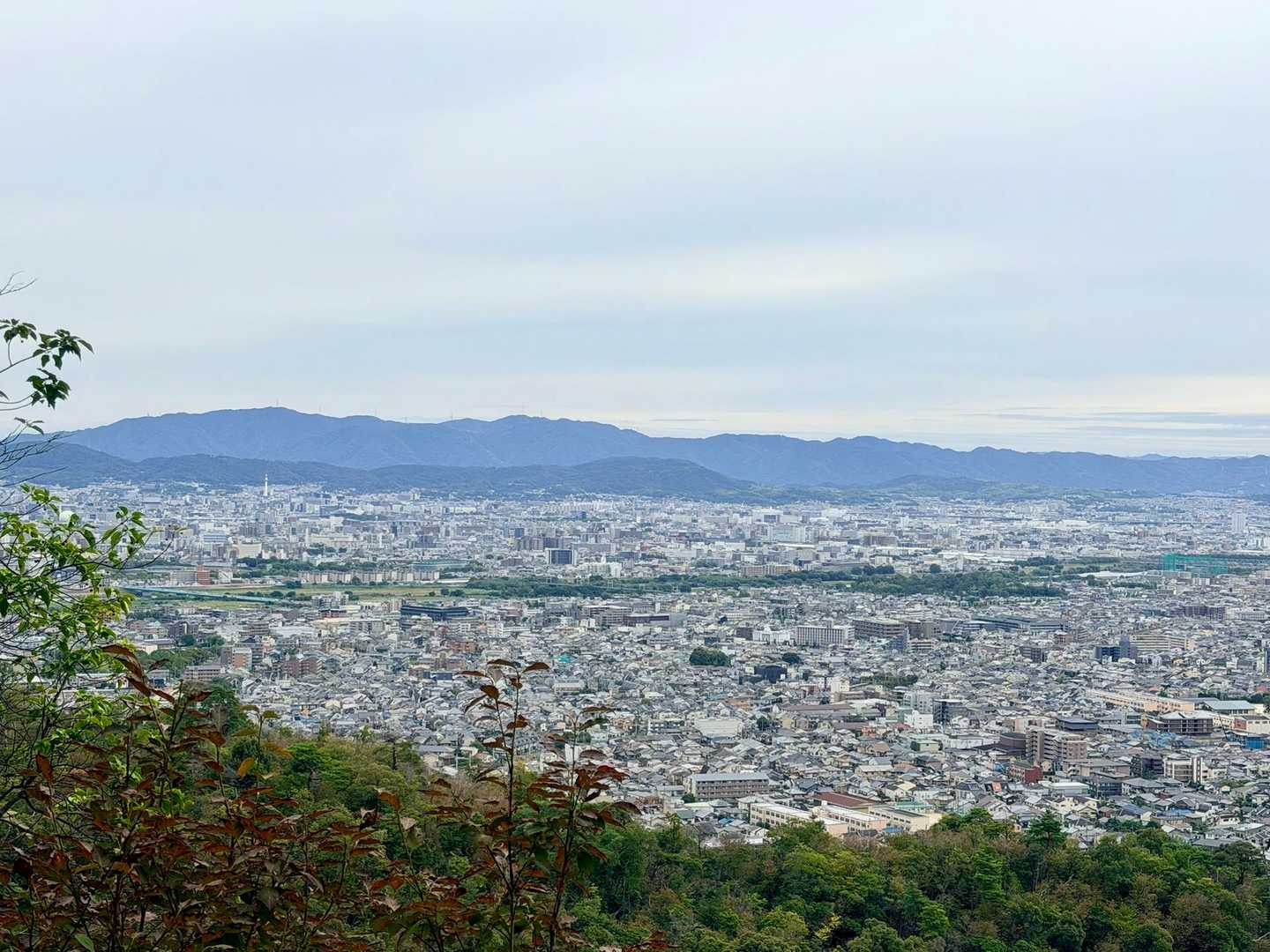 たまに絶景ポイントがあるので京都タワー見えた！あの五重の塔はどこのやろ？と楽しく登れます🔍