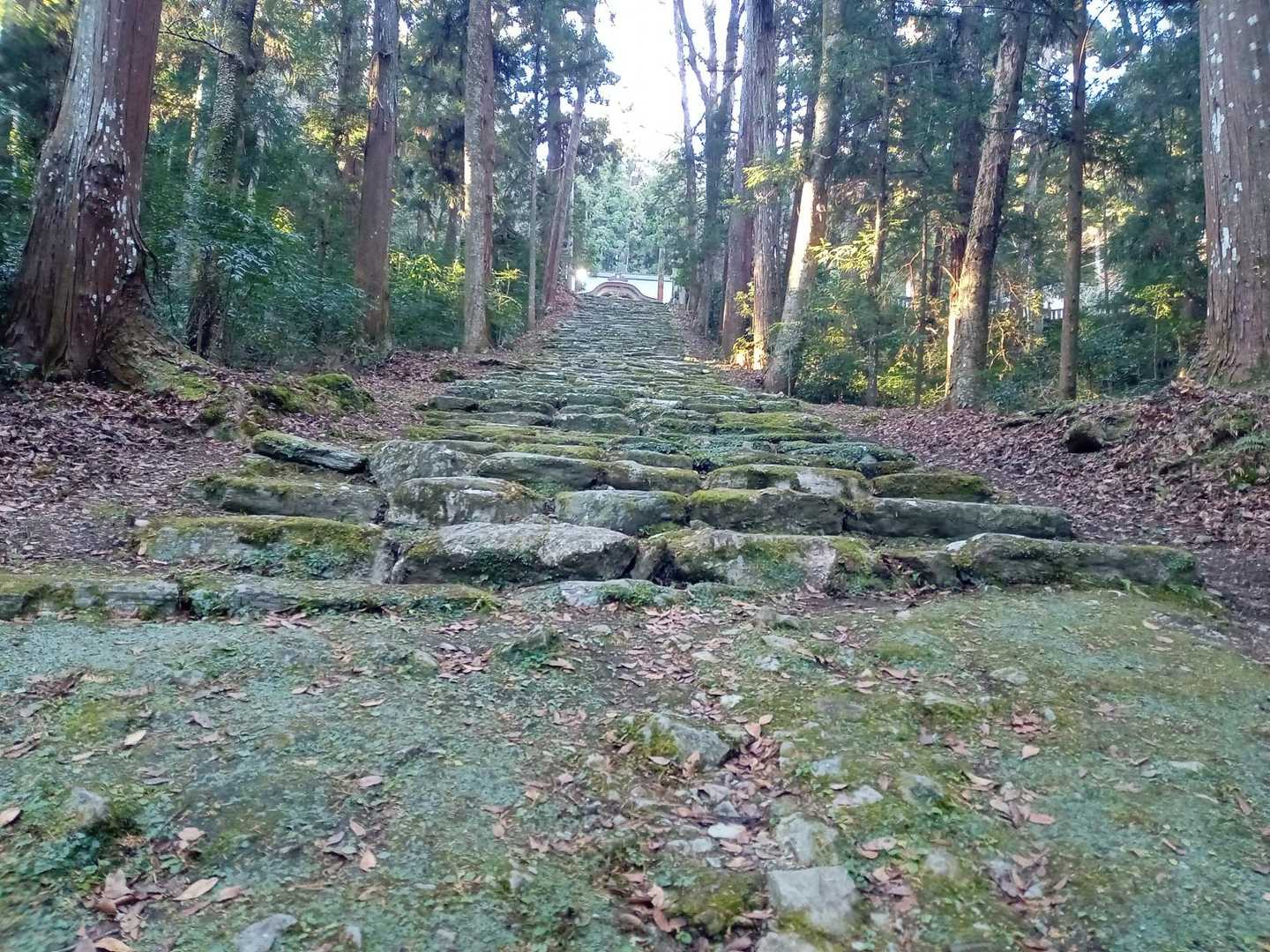 階段を登っていくと本堂のようです