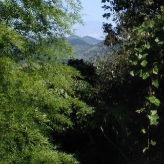 🗻富士山はまだ夏スタイルで🖤うっすらです～