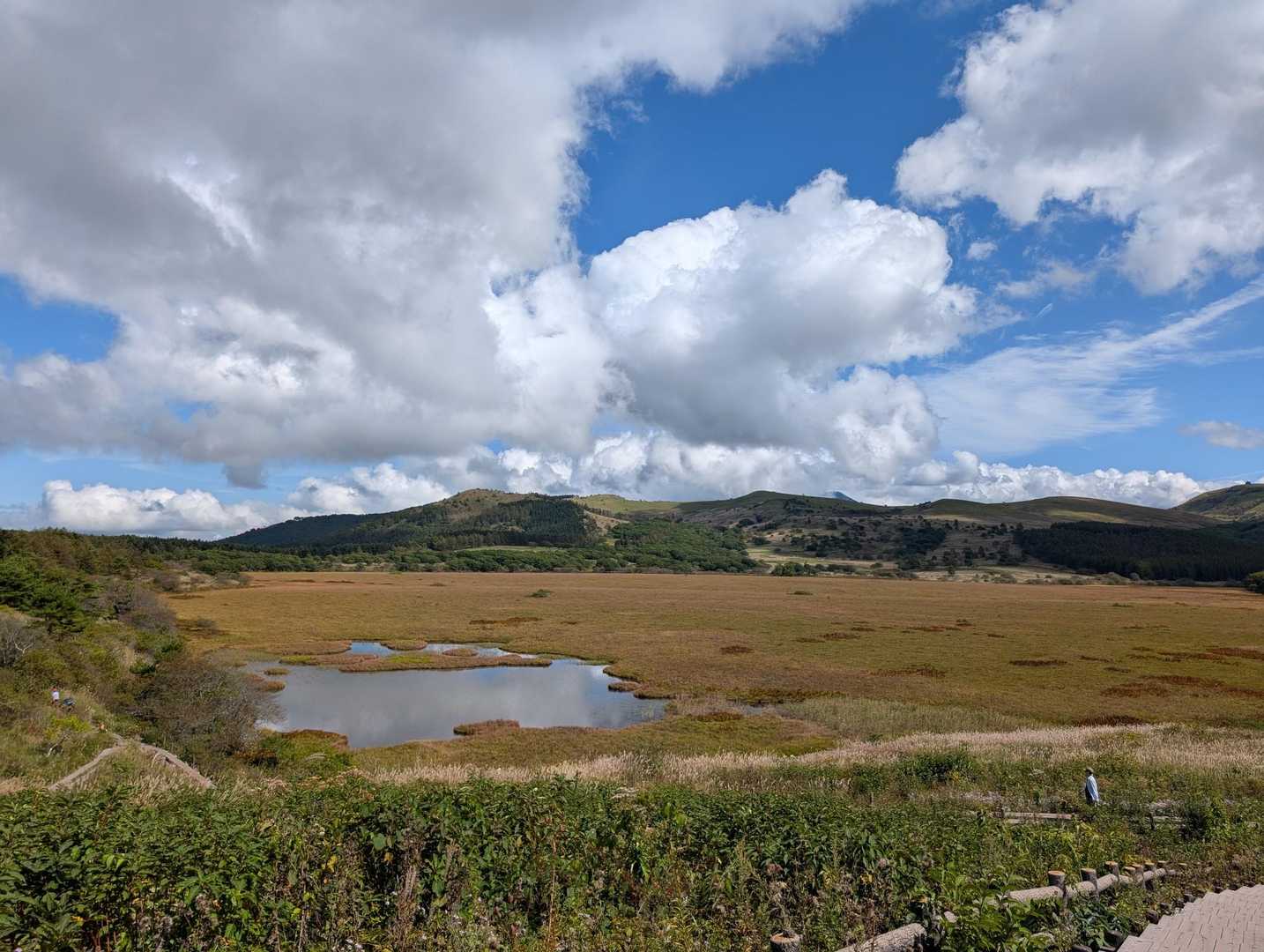 八島湿原バス停-八島湿原入口-霧ヶ峰湿原植物群落-男女倉山 周回コースの写真