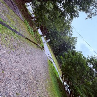 駐車場みえたー！