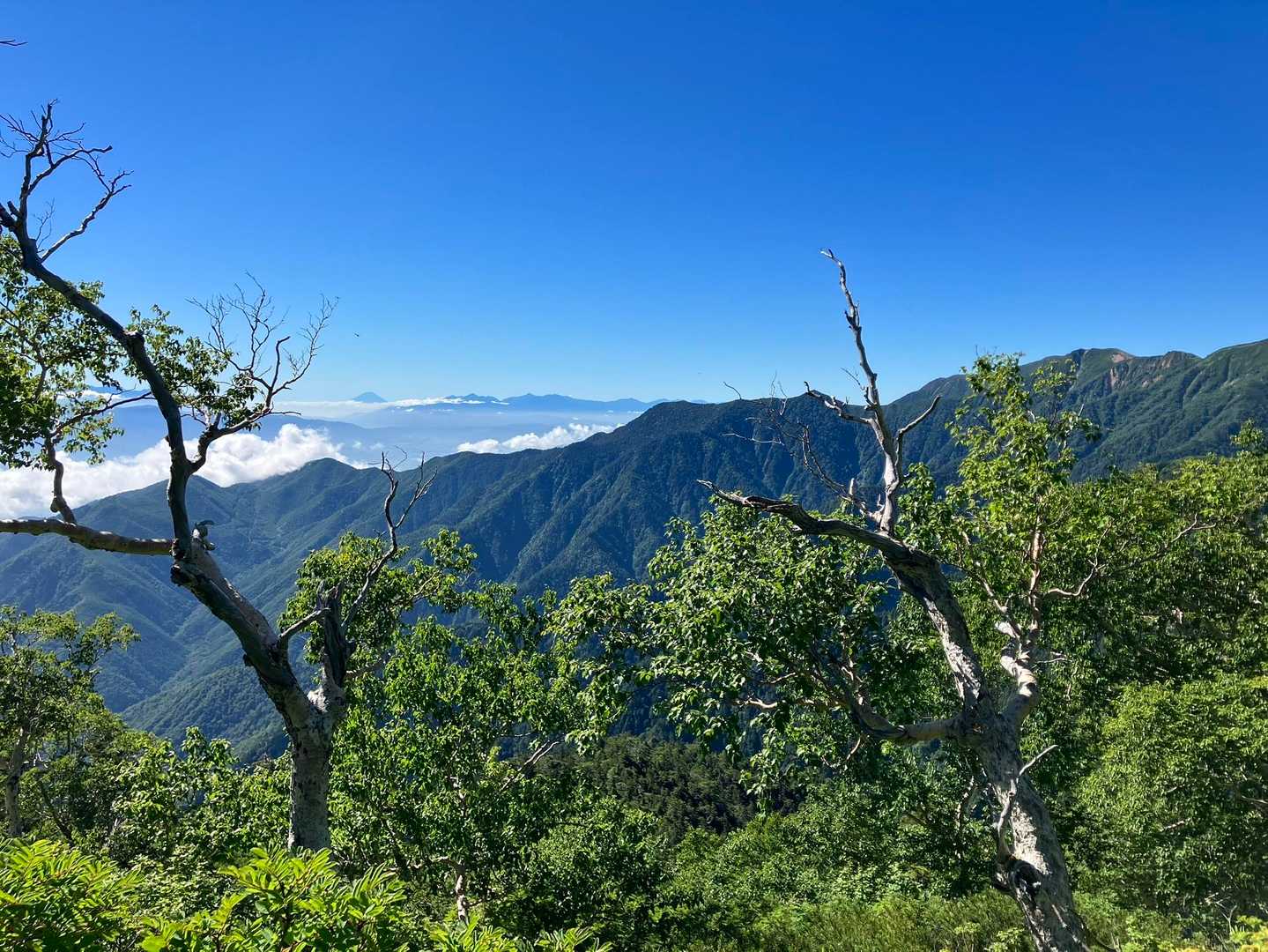 南プスもおはようございます😃☀
