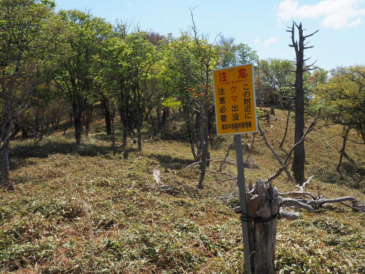 この付近にクマ出没、注意
先ほどの💩のこともあり、ちょい不安😣