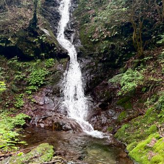 白岩の滝①落差15m

山登る時に滝があると嬉しい