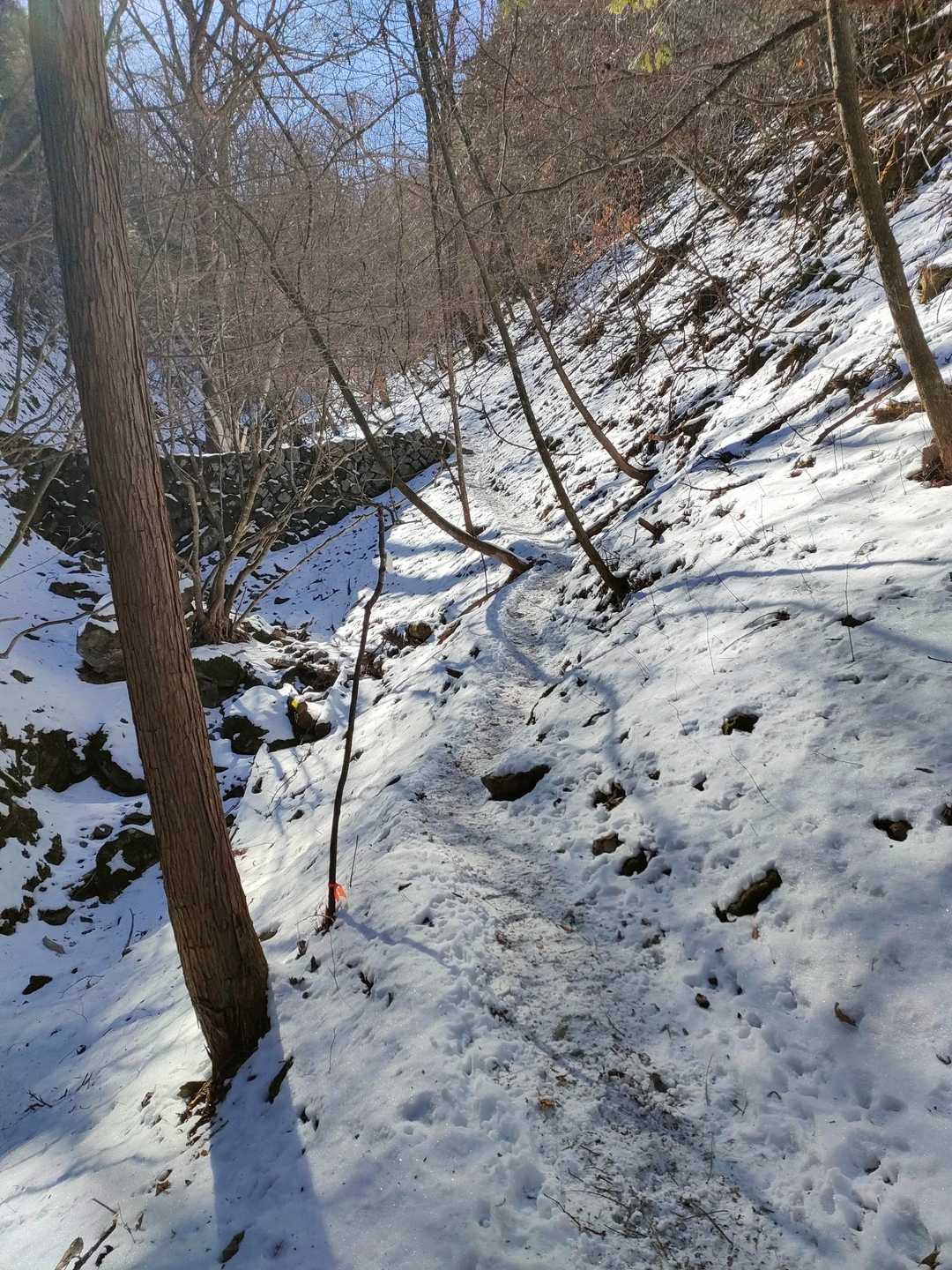 川乗橋バス停-川苔山-真名井沢ノ峰-赤久奈山-古里駅 縦走コースの写真