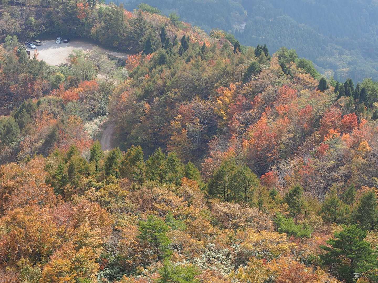 次はどこの紅葉へ・・・