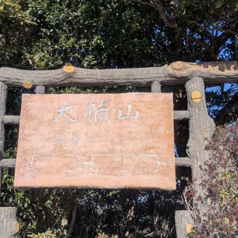 大楠山、関東百名山51座目
実は花の百名山55座目だったりもする