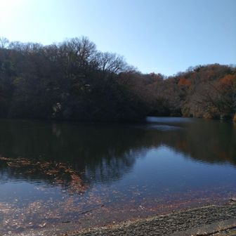 色んな鳥いました🐦