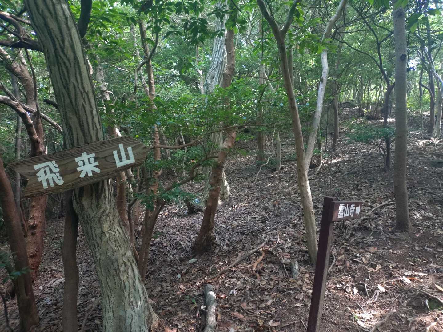 飛来山に寄ります
