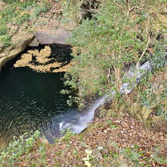 琵琶滝。
渓谷も滝も、上から眺めるべし。いいね？