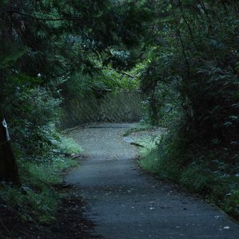 とてもがんばり屋の同僚なので、いなくなったら寂しいけれど、もし次のチャンスがあればきちんとものにできると良いな。