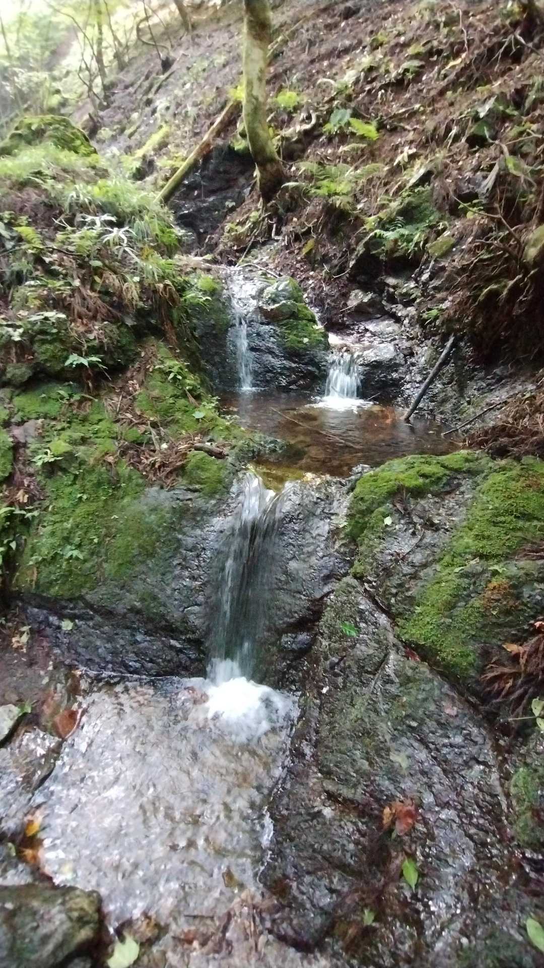 兵ノ沢の清流