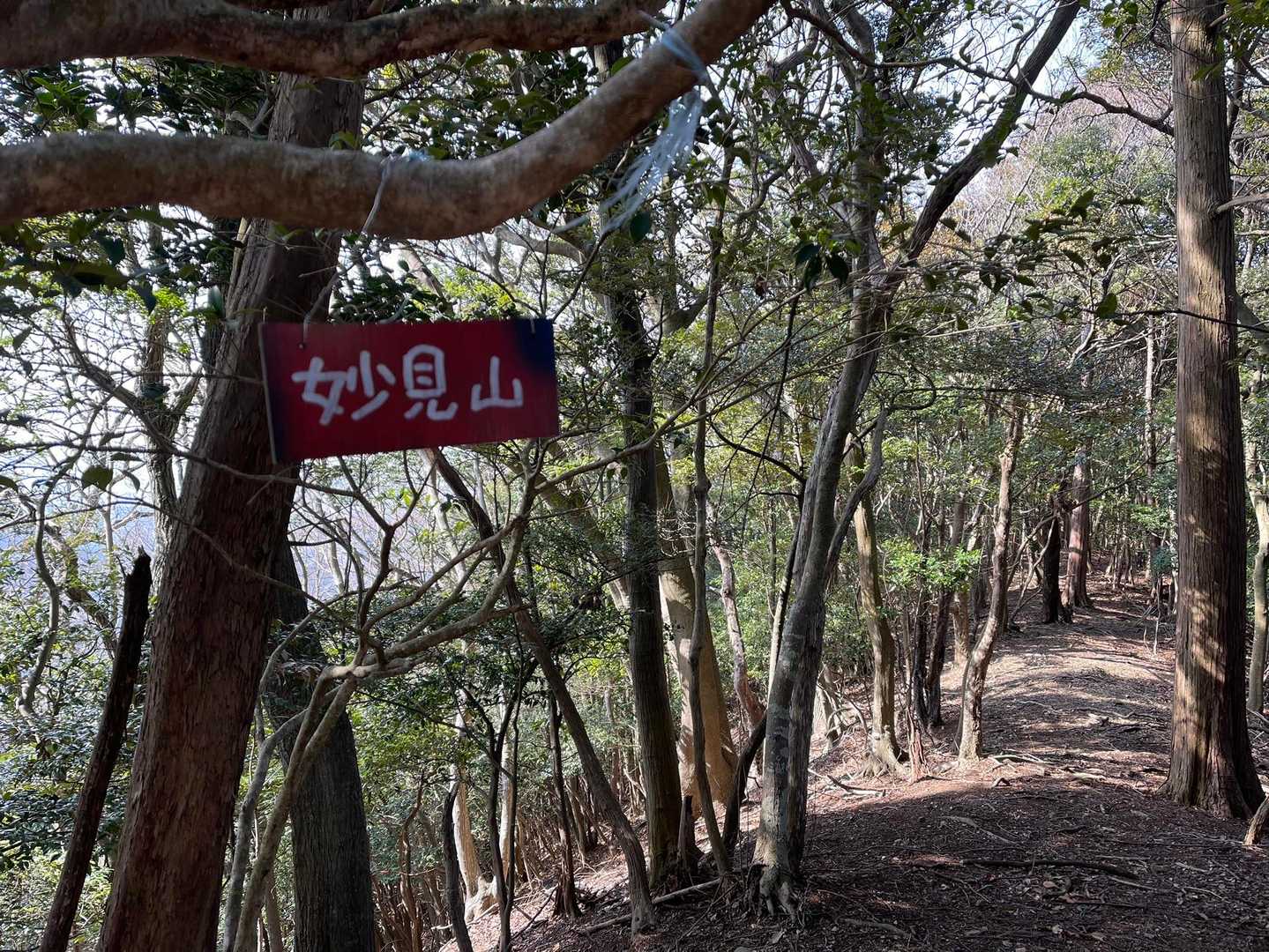 大目配登山口-大目配-薬王寺峠-京王山-鬼王山-妙見山 周回コースの写真