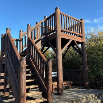 二三月峠

もうスルーで😂