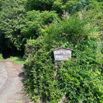 ここから山道