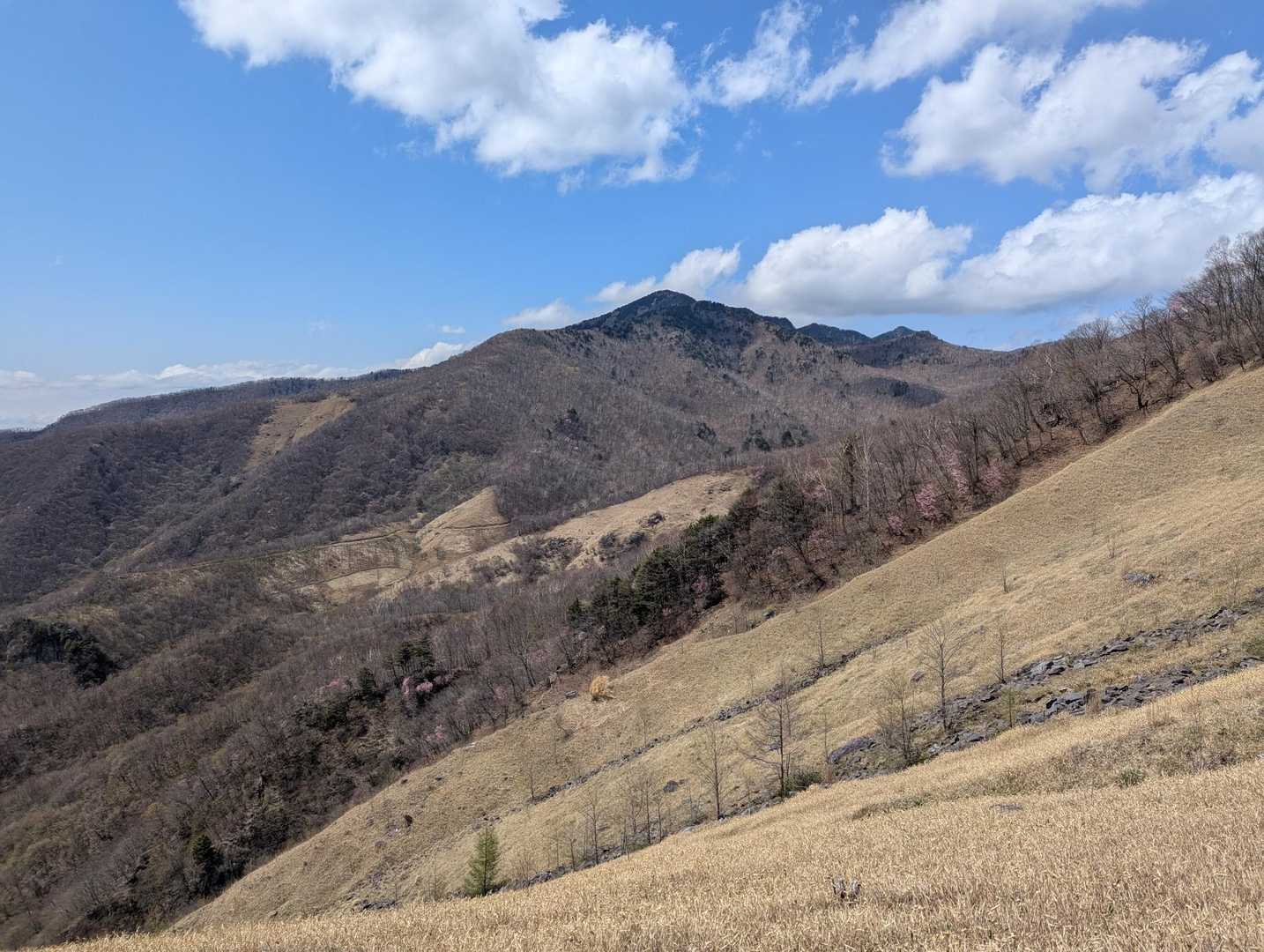 折場登山口-小丸山 往復コースの写真