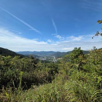 朝に比べたら青空の面積が増えていて気分も爽快🙌