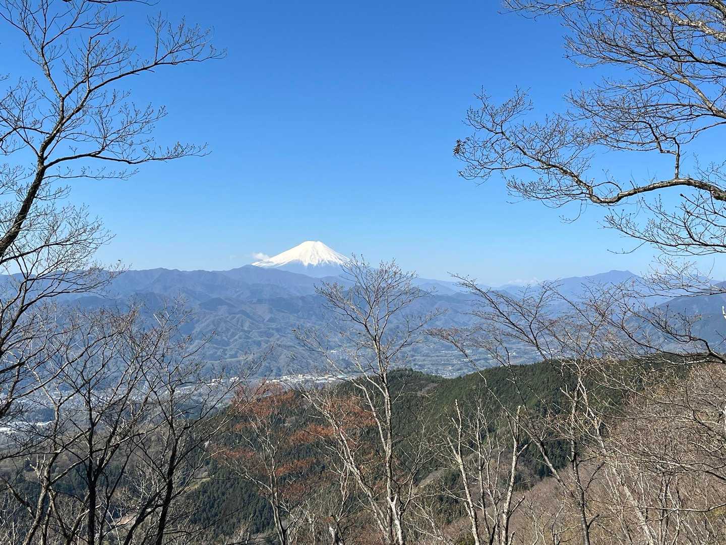 ここからしばらく左手側にずっと富士山が見守ってくれてる