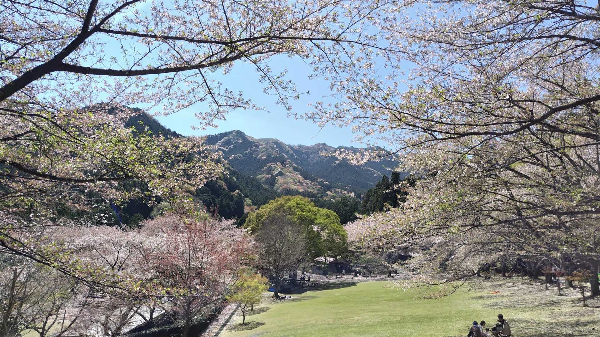 観音岳 往復コースの写真