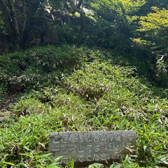 修行の人は鎖場へ
一般の人は迂回路へ
もちろん迂回路ですよ