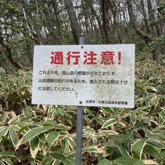 笹は漕ぐほどではない