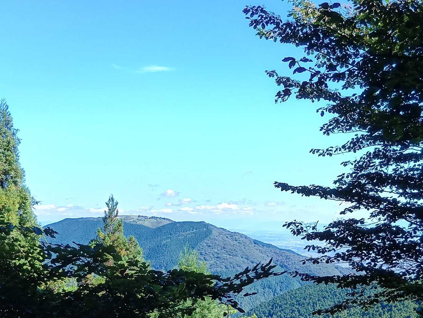 大龍寺-祐泉寺-岩屋峠-岩屋-二上山登山口-竹内山-第二十 縦走コースの写真