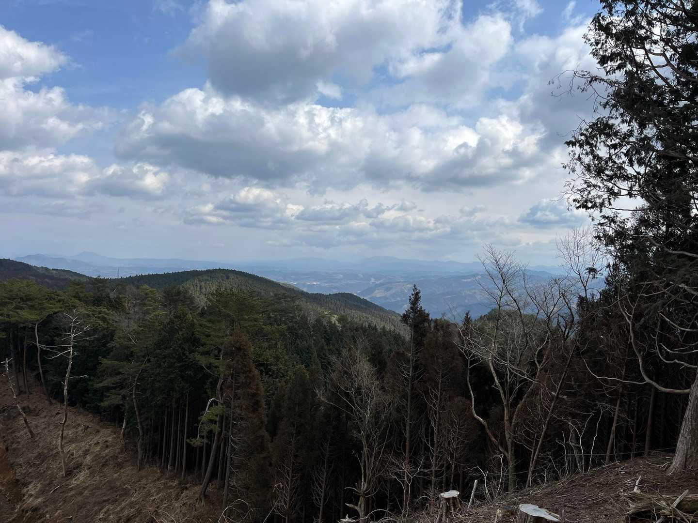 大将陣山 往復コースの写真